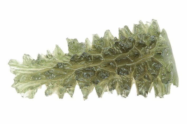 Green Moldavite Tektite ( g) - Besednice, Czech Republic #376282